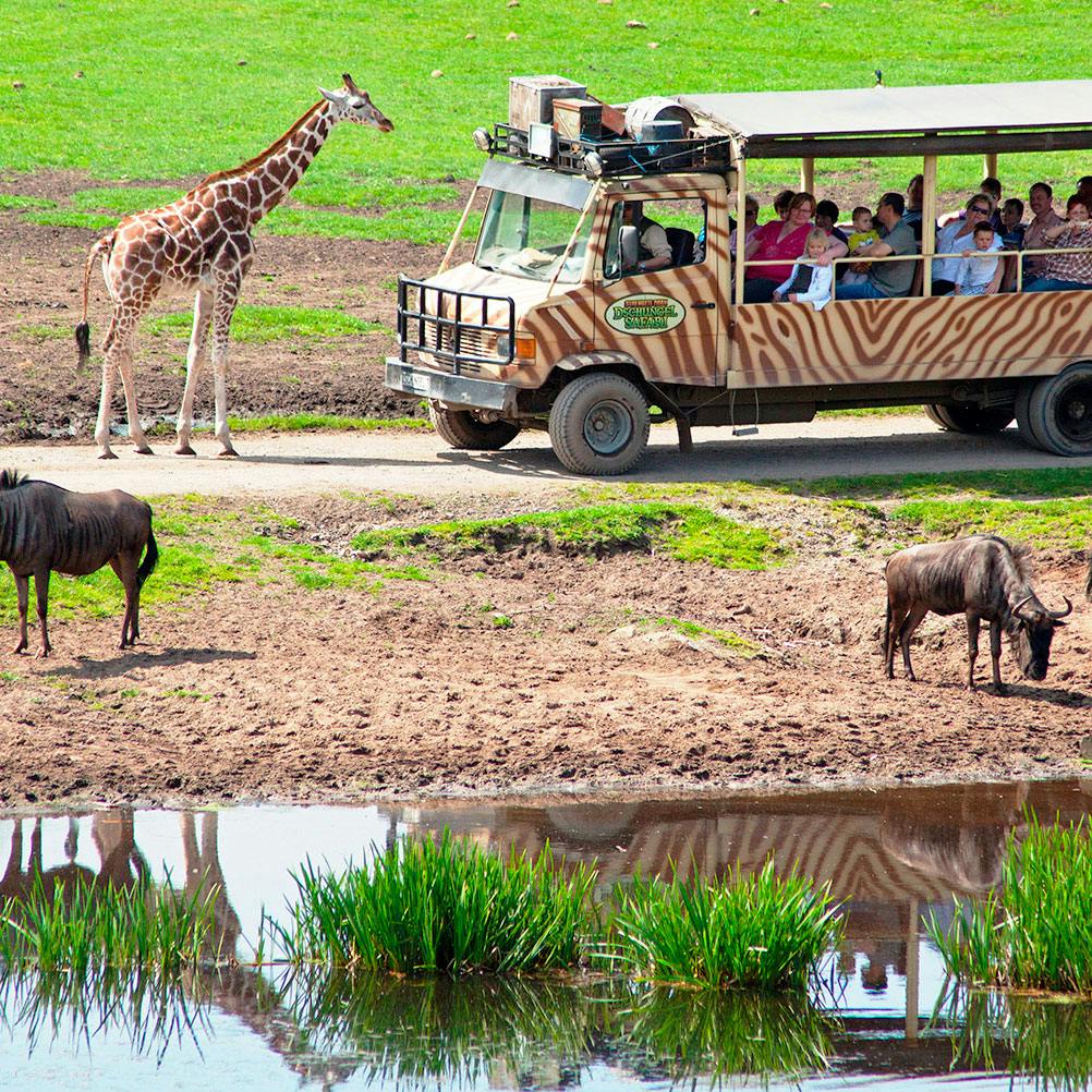 Serengeti-Park-Bustour